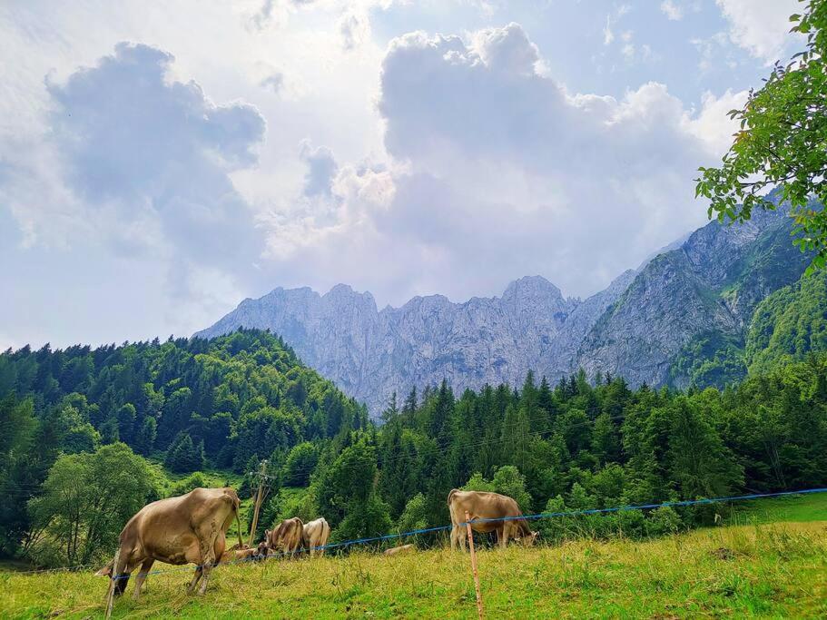 Happy Guest Apartments - Alpin Vista Colere Esterno foto